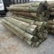 APPROX (24) 7'' X 8' TREATED FENCE POST