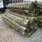 APPROX (24) 7'' X 8' TREATED FENCE POST