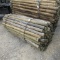 APPROX (100) 3'' X 7' TREATED FENCE POST