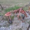 2 BASKET TEDDER