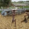 4150 NEW IDEA HAY RAKE