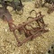 1 ROW CULTIVATOR