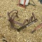 1 ROW CULTIVATOR