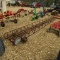 24FT HAY ELEVATOR W/ MOTOR