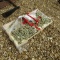 PALLET OF (10) 20FT 3/8'' G70 CHAINS  & (5) RATCHET BINDERS