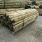 APPROX (100) 3''X7' TREATED FENCE POST - ALL ONE PRICE