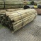 APPROX (100) 3''X7' TREATED FENCE POST - ALL ONE PRICE