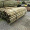 APPROX (100) 3''X7' TREATED FENCE POST - ALL ONE PRICE