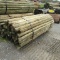 APPROX (100) 3''X7' TREATED FENCE POST - ALL ONE PRICE