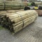APPROX (100) 3''X7' TREATED FENCE POST - ALL ONE PRICE