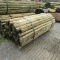 APPROX (100) 3''X7' TREATED FENCE POST - ALL ONE PRICE