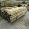 APPROX (100) 3''X7' TREATED FENCE POST - ALL ONE PRICE