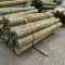 APPROX (20) 8''X8' TREATED FENCE POST - ALL ONE PRICE