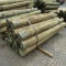 APPROX (20) 8''X8' TREATED FENCE POST - ALL ONE PRICE
