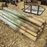 APPROX (20) 8FT FENCE POST