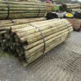 APPROX (100) 3''X7' TREATED FENCE POST - ALL ONE PRICE