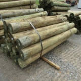 APPROX (20) 8''X8' TREATED FENCE POST - ALL ONE PRICE