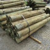 APPROX (20) 8''X8' TREATED FENCE POST - ALL ONE PRICE