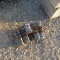 (5) FORD WEIGHTS - 5X TIMES THE PRICE