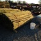 APPROX (100) 3''X7' TREATED FENCE POST