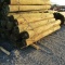 APPROX (20) 8''X8' TREATED FENCE POST