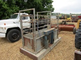 CATTLE SCALES W/ WEIGHTS