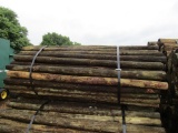 APPROX (100) 3''X7' TREATED FENCE POST