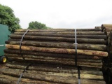 APPROX (100) 3''X7' TREATED FENCE POST