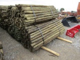 APPROX (100) 3''X7' TREATED FENCE POST
