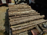 APPROX (40) CEDAR POST - ALL ONE PRICE