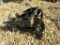 NEW MINI EXCAVATOR GRAPPLE