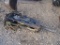 CATERPILLAR HAMMER FOR 303 SIZE