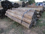 APPROX (20) 8'' X 8' TREATED FENCE POST - ALL ONE PRICE