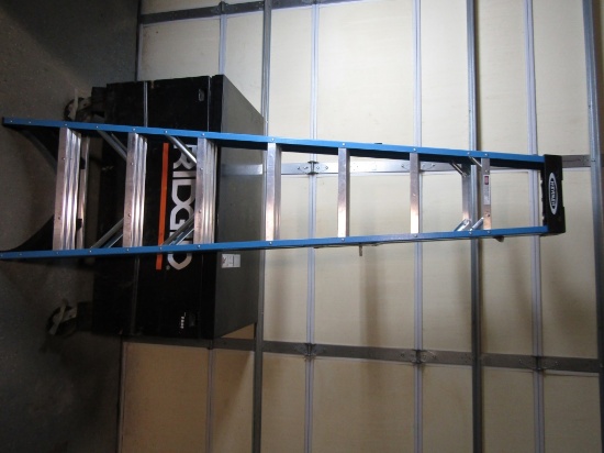 8FT WERNER LADDER