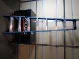 8FT WERNER LADDER