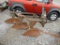 3X FORD PLOW