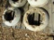 (4) FORD WHEEL WEIGHT 4X TIMES THE PRICE