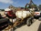 500 GALLON SPRAYER