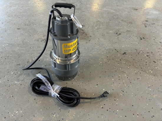 NEW SUMP PUMP
