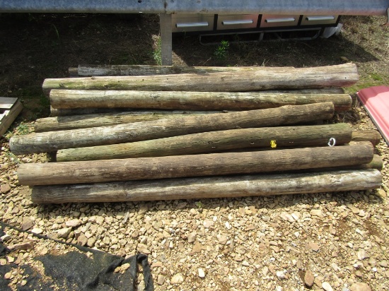 Fence Posts