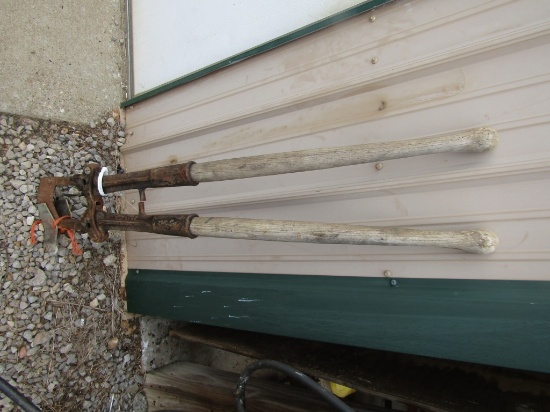 Set of large dehorners