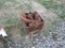 CRATE OF CHISEL AND PLOW POINTS