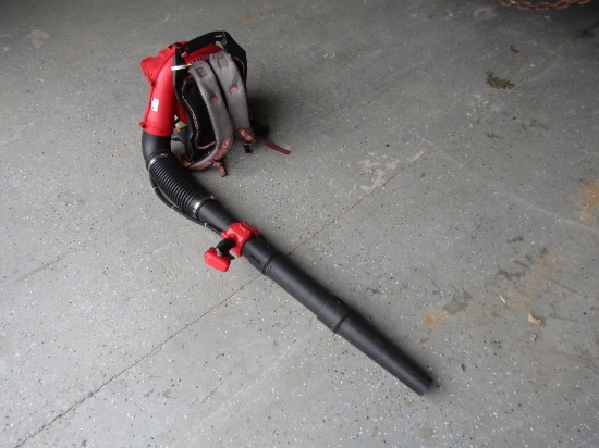CRAFTSMAN BACKPACK GAS BLOWER