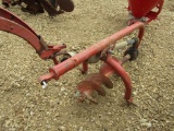 RED PHD