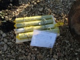 (4) 50MM X 345MM PINS - ALL ONE PRICE