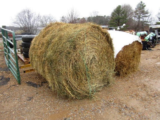 (10) 5X5 ROLLS OF DRY HAY IN THE BARN - 10X TIMES THE PRICE