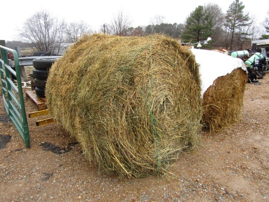 (10) 5X5 ROLLS OF DRY HAY IN THE BARN - 10X TIMES THE PRICE
