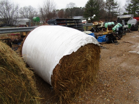 (10) 5X5 ROLLS OF WRAPPED WHEAT HAY - 10X TIMES THE PRICE - TESTED 15.8% PROTEIN