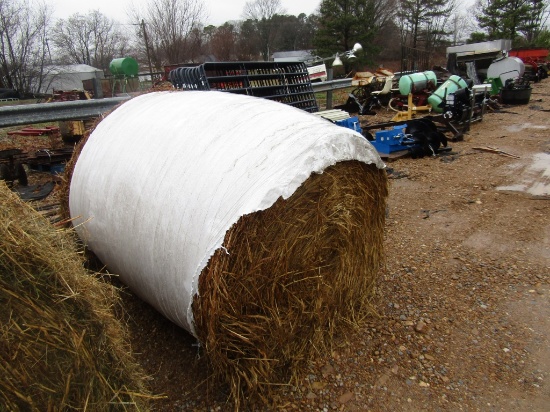 (10) 5X5 ROLLS OF WRAPPED WHEAT HAY - 10X TIMES THE PRICE - TESTED 15.8% PROTEIN