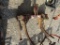 2 SHANK TUFLINE RIPPER